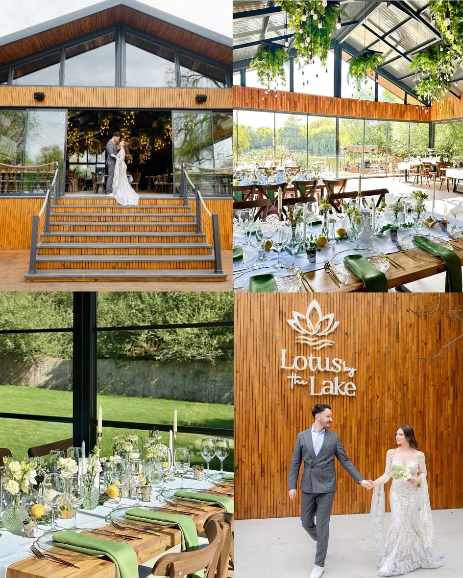 Lotus Post Feed (11)