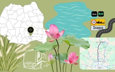 Nuntă pe malul lacului Snagov